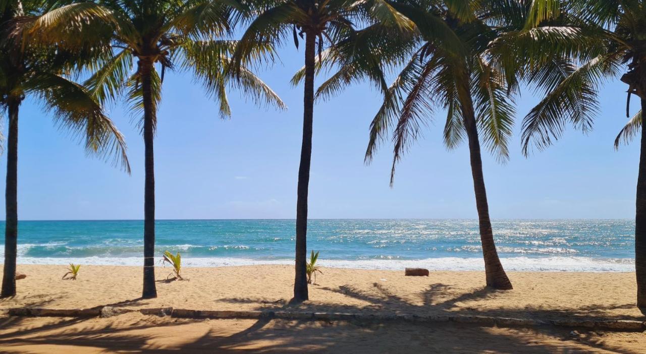 Trevily Porto Flats A 100M Da Praia Порту-де-Галиньяш Экстерьер фото