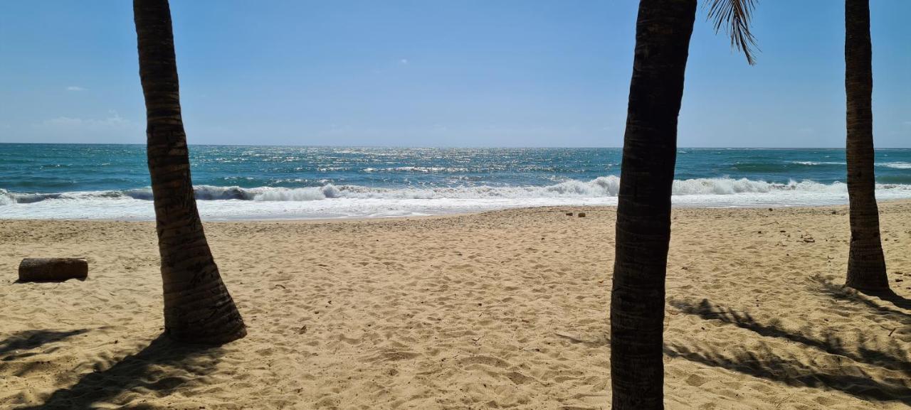 Trevily Porto Flats A 100M Da Praia Порту-де-Галиньяш Экстерьер фото